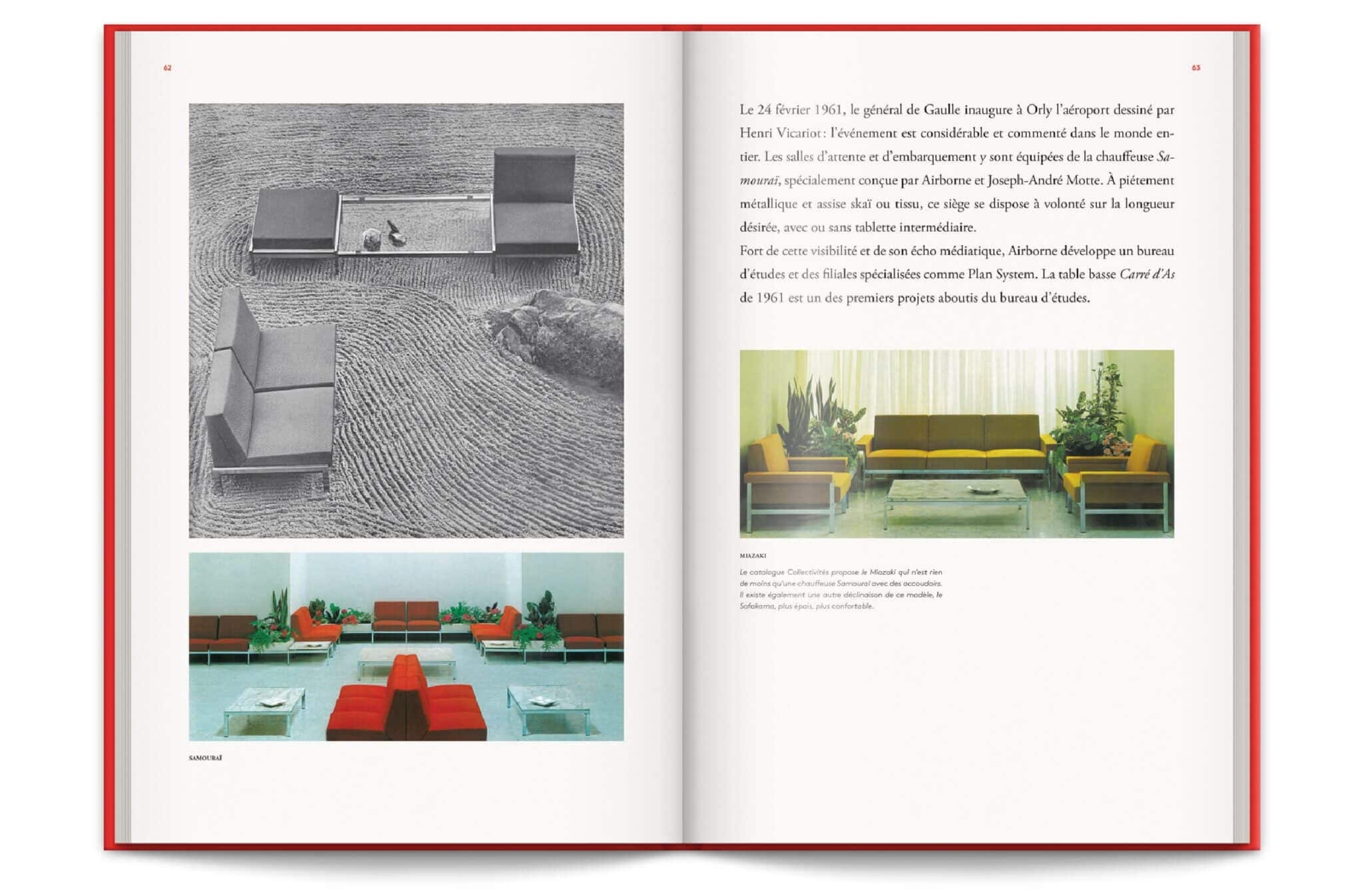 Airborne Livre credit Ichetkar